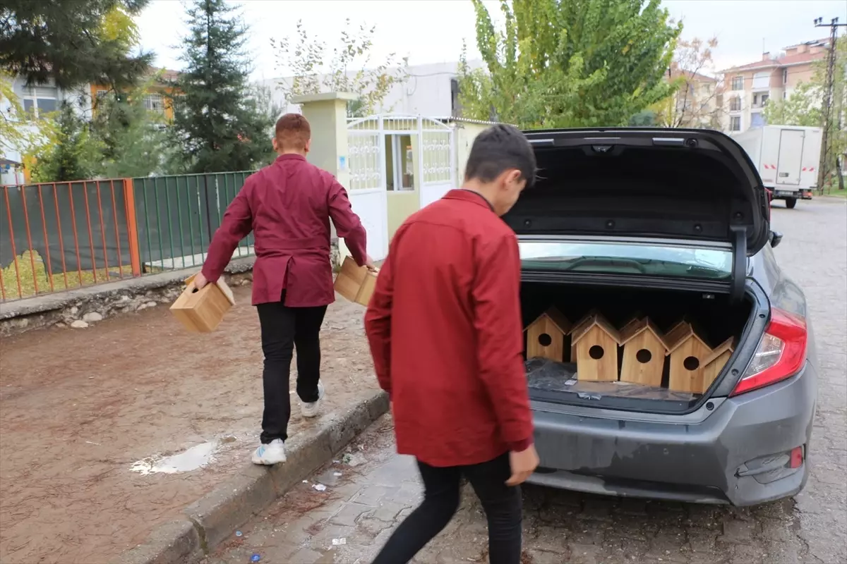 Şırnak\'ta öğrenciler atık malzemelerden kedi ve kuşlar için yuva yapıyor