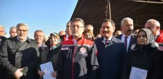 Hatay'da depremzedelere büyükbaş hayvan dağıtıldı