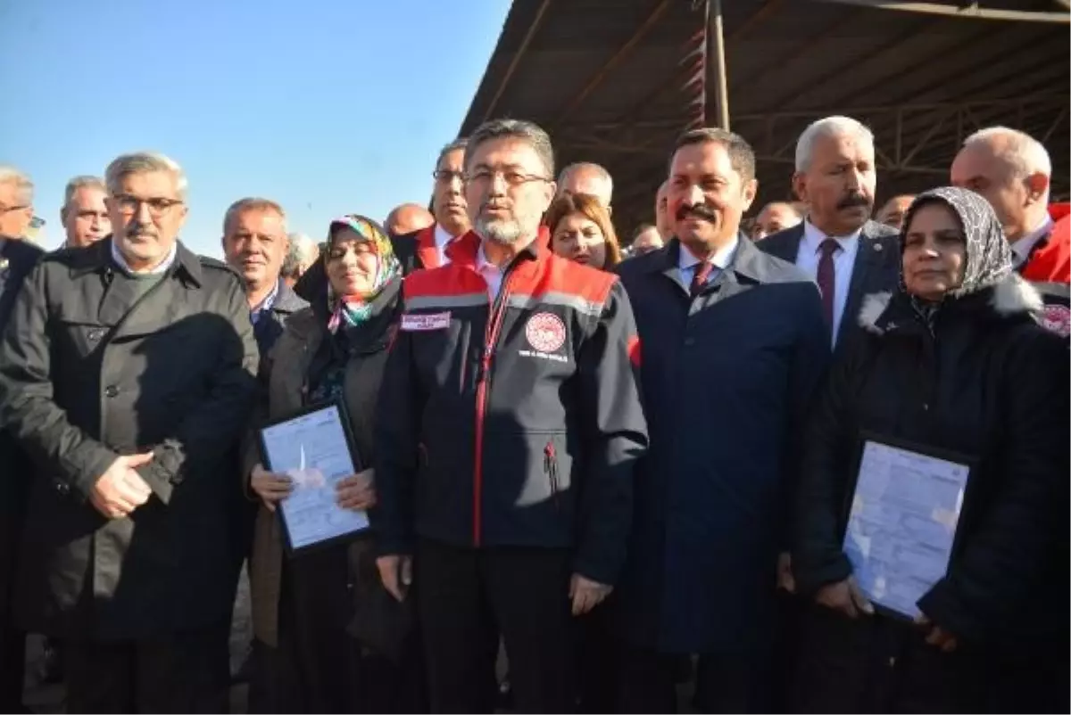 Hatay'da depremzedelere büyükbaş hayvan dağıtıldı
