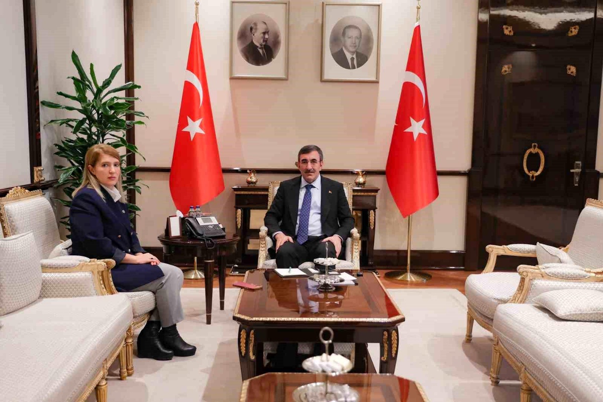 Cumhurbaşkanı Yardımcısı Cevdet Yılmaz, Malatya Milletvekili İnanç Siraç Kara Ölmeztoprak\'ı kabul etti