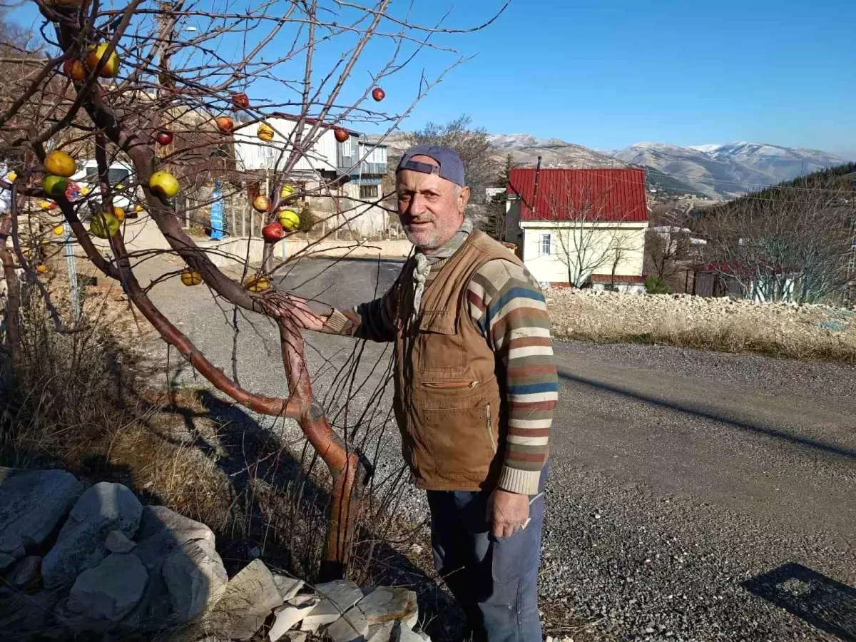 Kahramanmaraşlı emekli asker, yaban hayatta yaşayan kuş, köpek, tilki ve kediler için doğaya yem bırakıyor