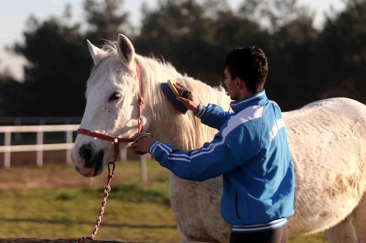 Bursa\'da At Üzerinde Akrobasi Yapan Genç Sporcu