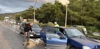 Bodrum'da Yılbaşı Öncesi Denetimler Sıklaştırıldı
