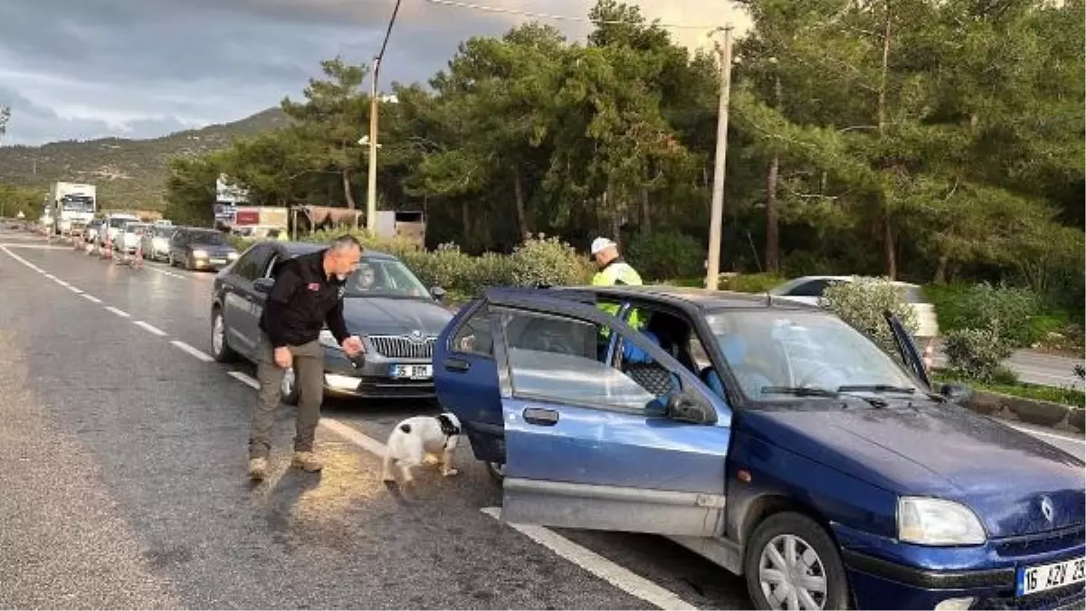 Bodrum'da Yılbaşı Öncesi Denetimler Sıklaştırıldı