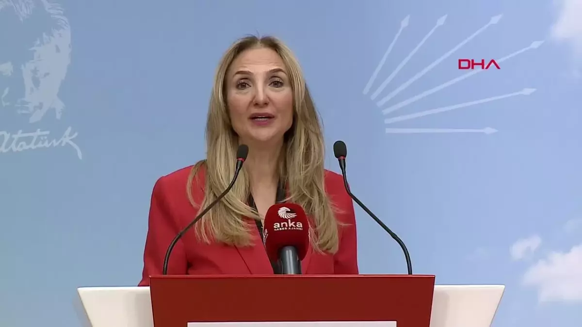 CHP Genel Başkan Yardımcısı Aylin Nazlıaka: \'YaşamHak\' Projesiyle 20 Binden Fazla Şiddet Mağduru Kadının Hayatına Dokunduk