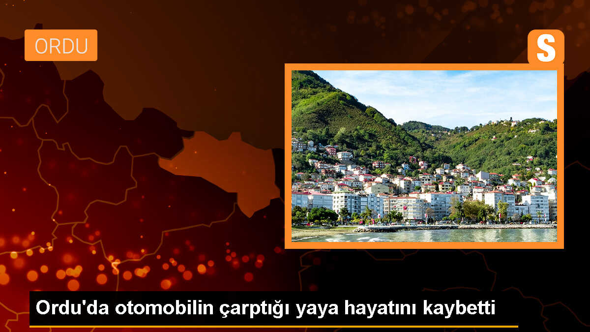 Ordu\'da trafik kazasında 1 kişi hayatını kaybetti