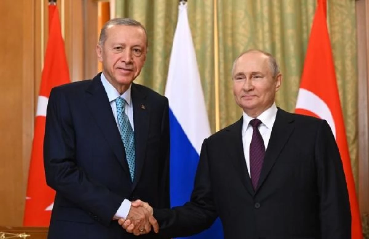 Putin\'den Cumhurbaşkanı Erdoğan\'a yeni yıl mesajı