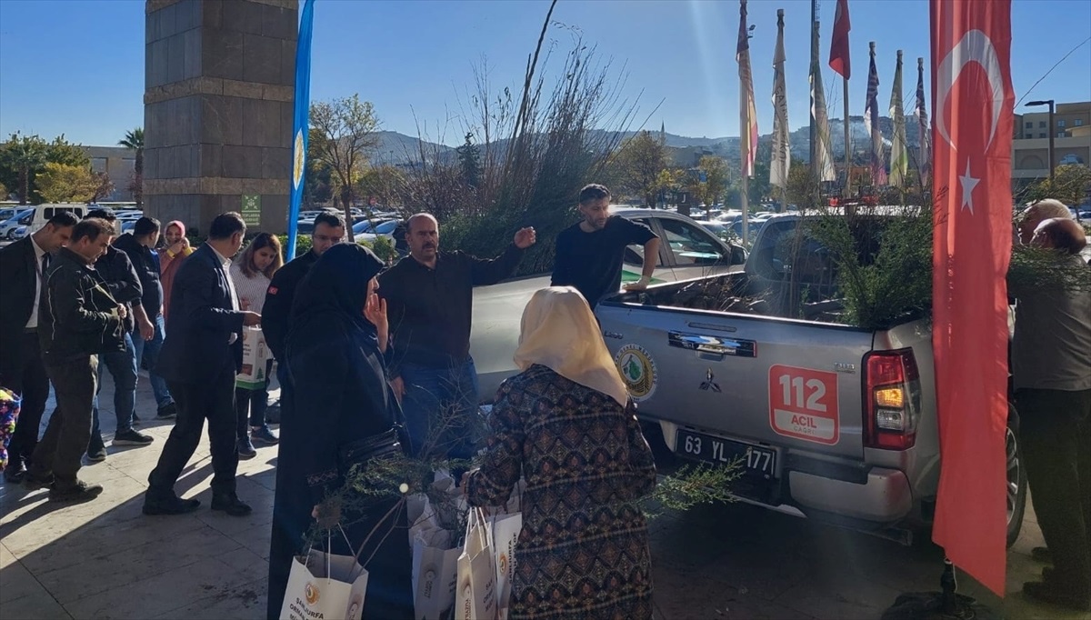 Şanlıurfa Orman Bölge Müdürlüğü\'nden Vatandaşlara Fidan Dağıtımı