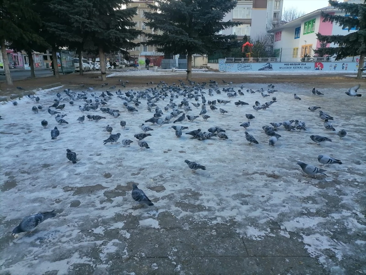 Ağrı, Ardahan ve Kars\'ta Soğuk Hava Etkili Oluyor