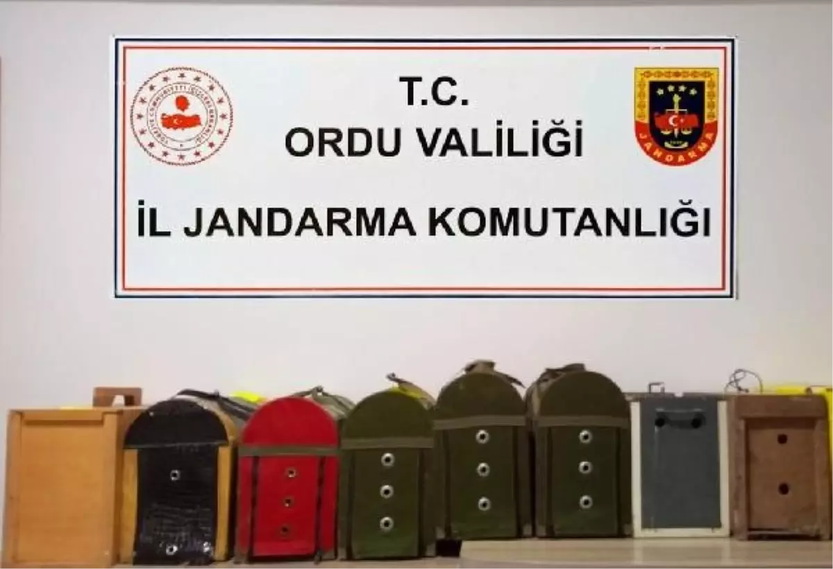 Ordu'da horoz dövüştüren 36 kişiye 145 bin 980 lira para cezası