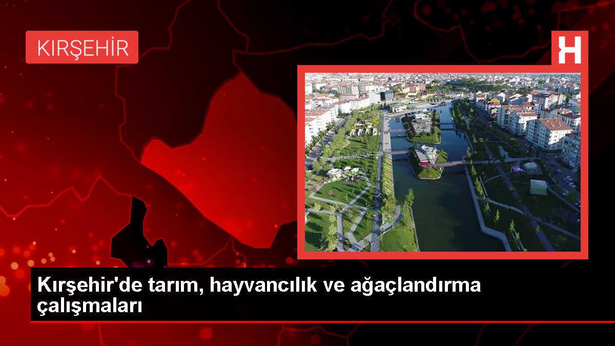 Kırşehir'de Tarım, Hayvancılık ve Ağaçlandırma Projeleriyle Gelişim Sağlanıyor