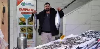 Samsun'da Hamsi Fiyatları Yüksek