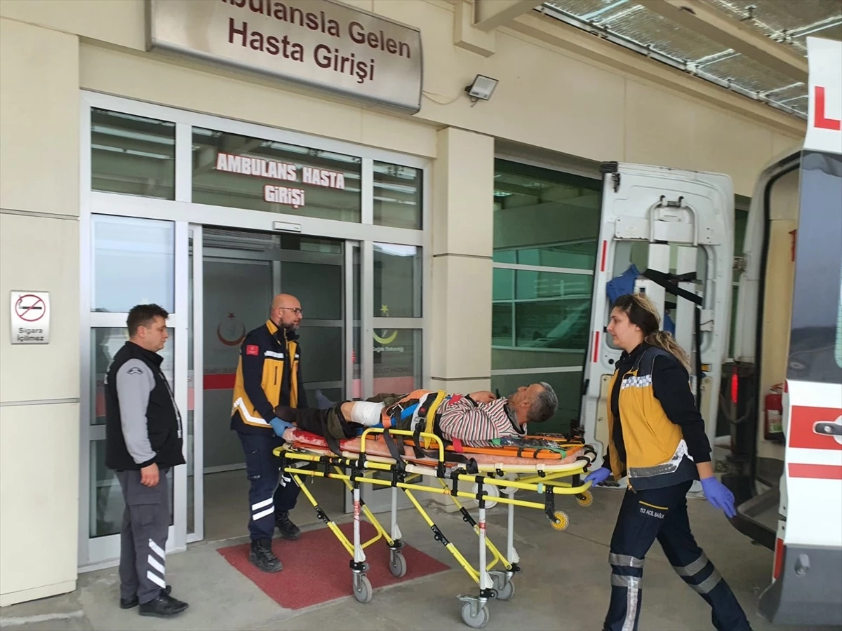 Manisa\'nın Demirci ilçesinde domuz saldırısı: Çoban yaralandı