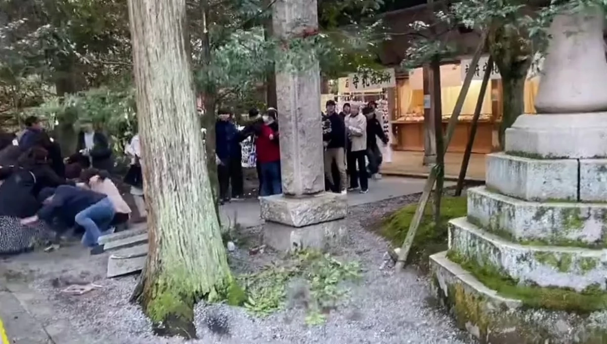 Japonya\'da 7,6\'lık deprem sonrası parkta toplanan insanların üzerine ağaç düştü
