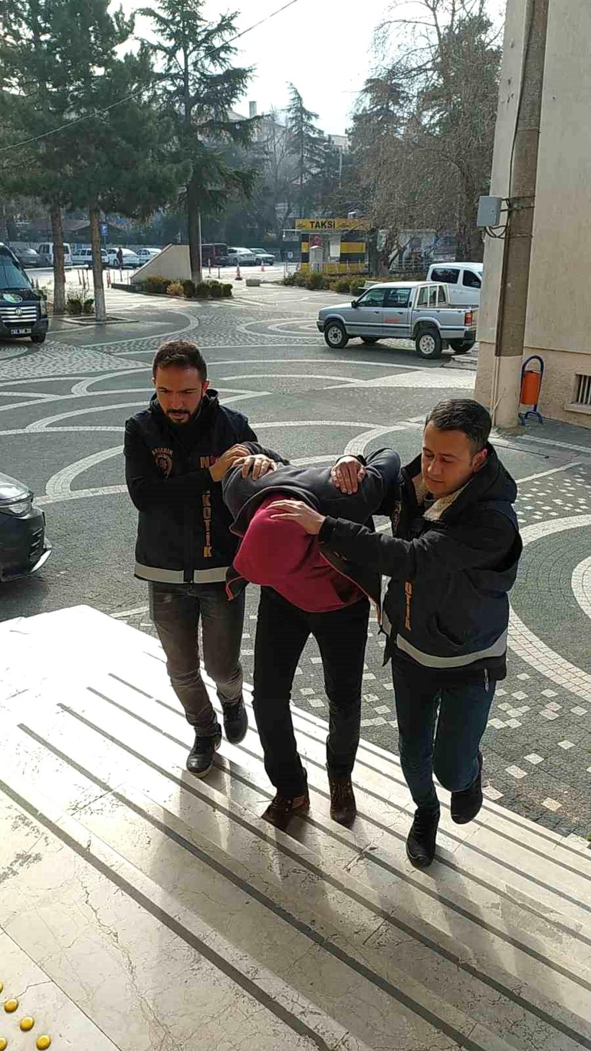 Akşehir\'de Sentetik Bonzai Operasyonu: 1 Tutuklama