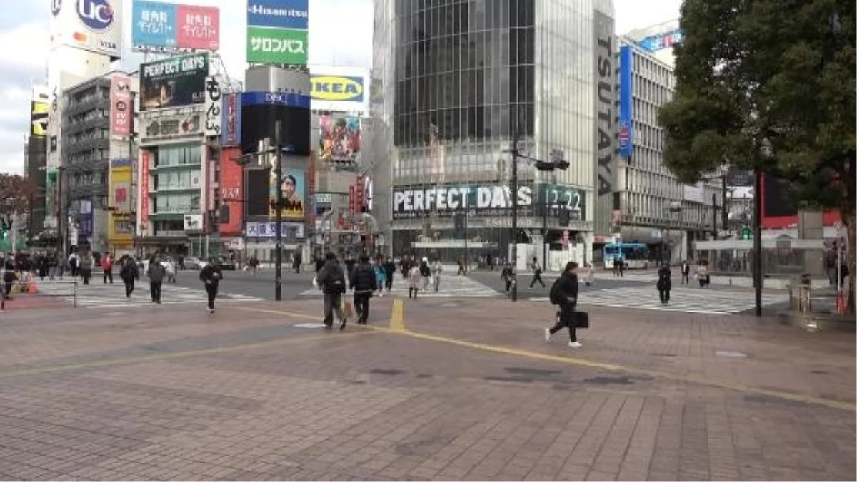 Tokyo\'da Evcil Hayvan Kafeleri ve Canlı Sokak Etkinlikleri