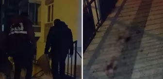 Ağabey ve kardeşin arasında çıkan kavgada kan aktı