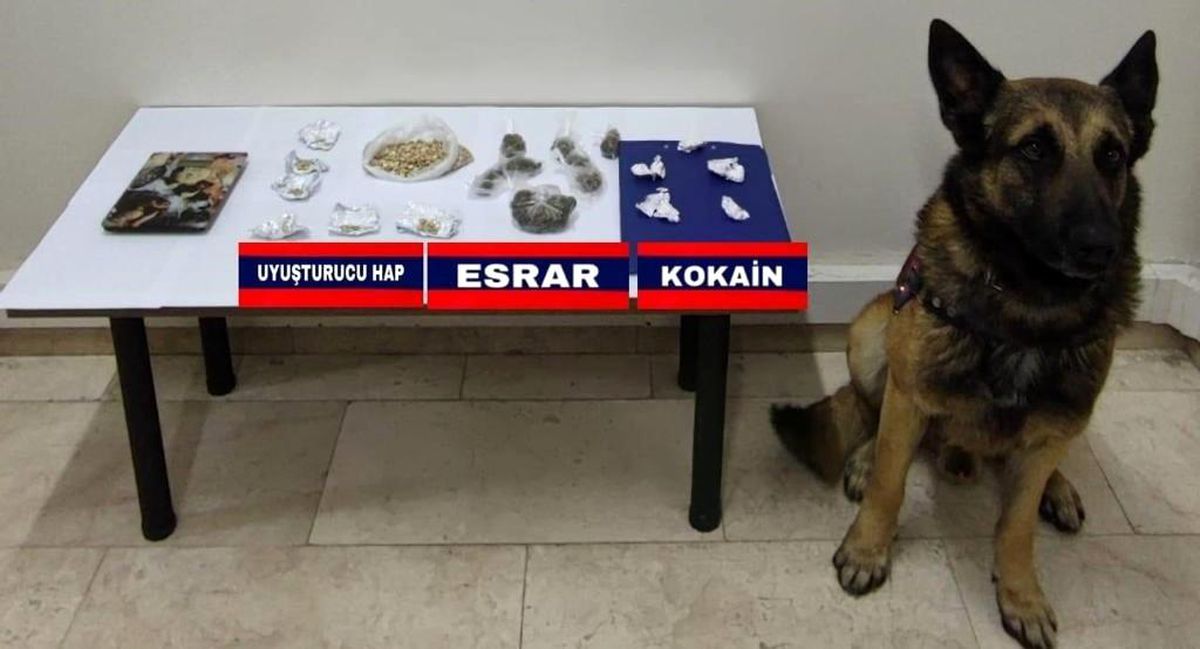 Bolu\'da Uyuşturucu Operasyonu: Şüpheli Tutuklandı