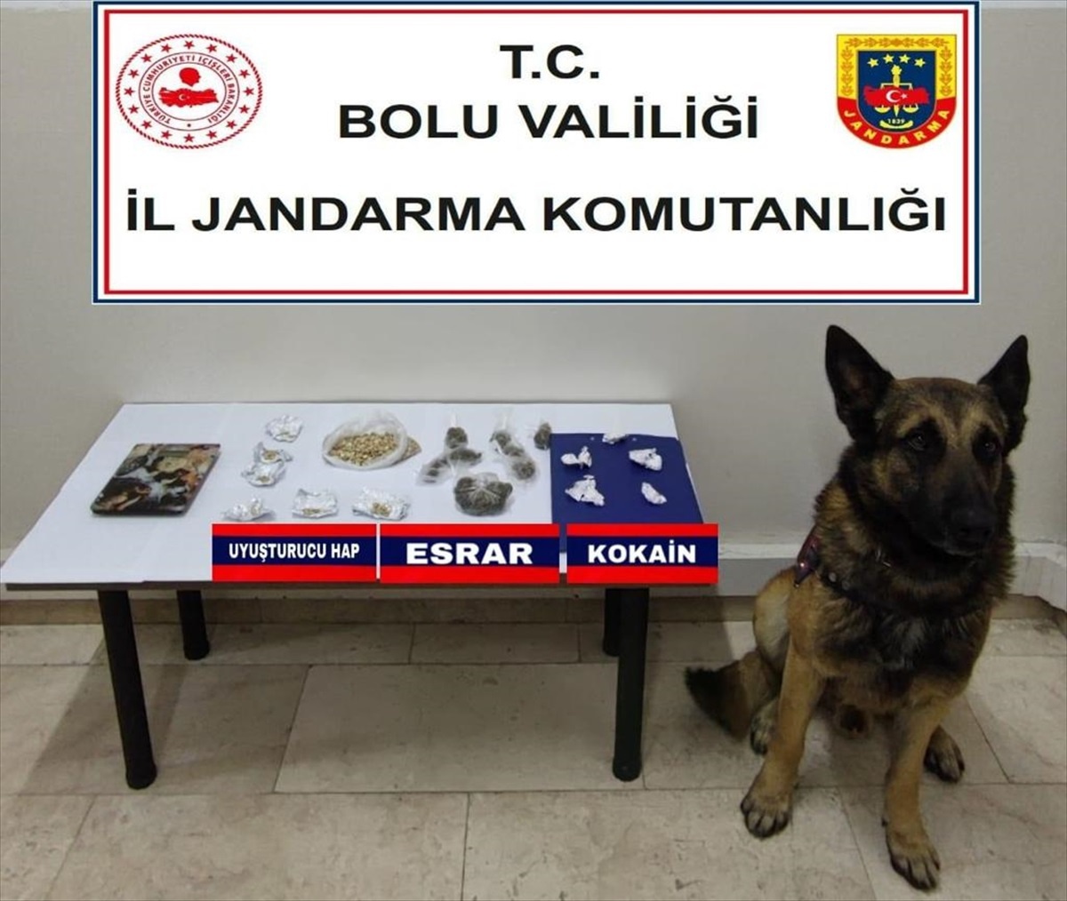 Bolu\'da Uyuşturucu Operasyonu: Şüpheli Tutuklandı