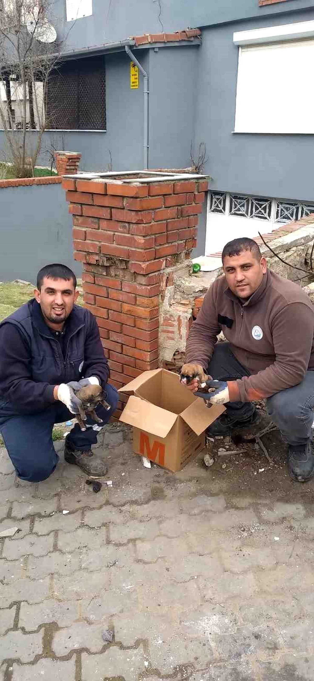 Keşan\'da çöp konteynerine atılan 5 yavru köpek bulundu