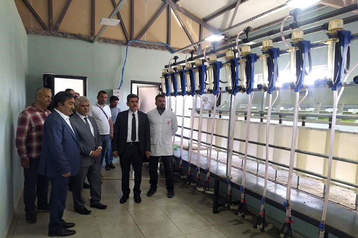 Doğu Anadolu Projesi (DAP) Bölge Kalkınma İdaresi Başkanlığı 10 yılda bin 925 projeye destek verdi