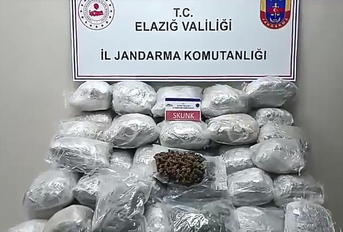 Elazığ\'da tırın dorsesinde 138 kilogram skunk ele geçirildi, 1 kişi gözaltına alındı