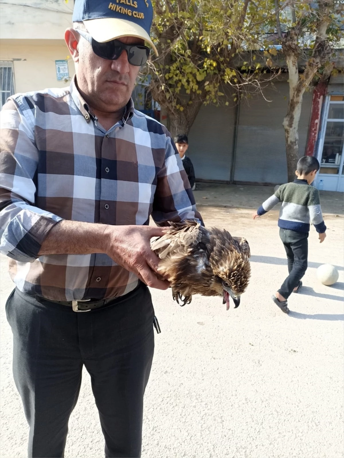 Gaziantep\'te Yaralı Kızıl Şahin Tedavi Altına Alındı