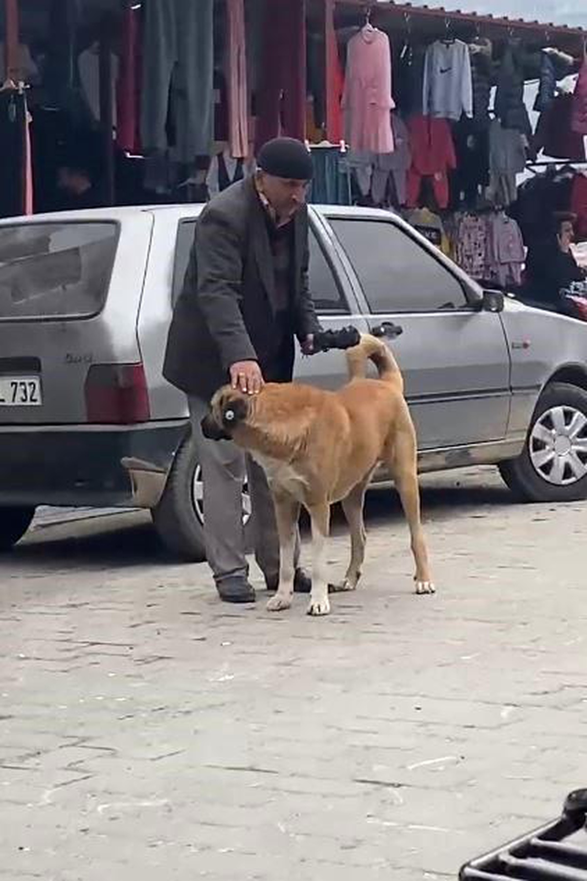 Kahramanmaraş\'ta Yaşlı Vatandaşın Sokak Köpekleri ile Diyalogu Gülümsetti