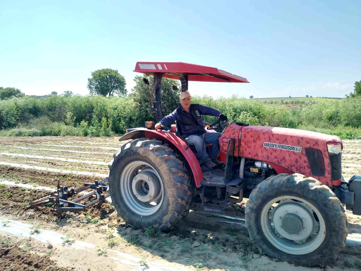 Manisa\'da çiftçiyi öldürdüğü iddia edilen şüpheli tutuklandı
