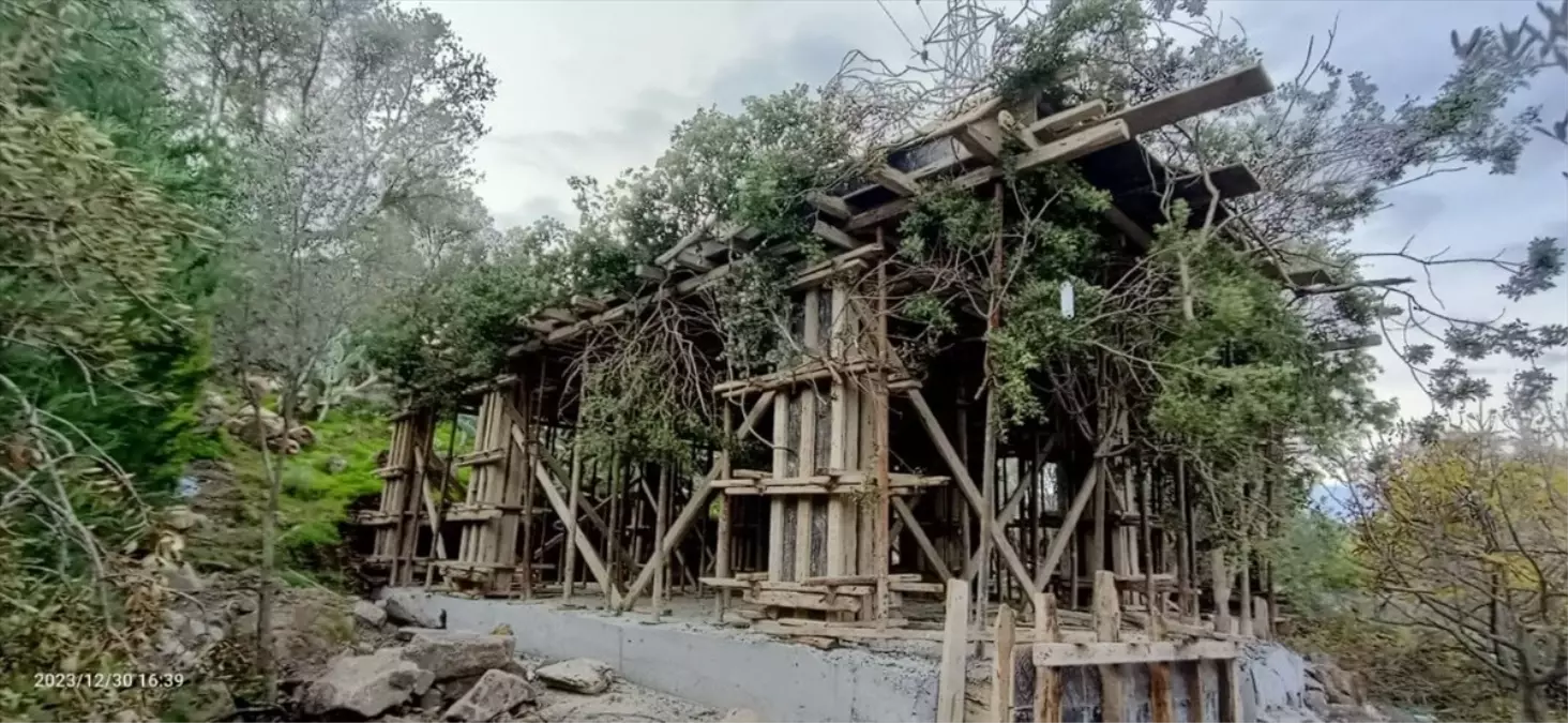 Bodrum'da ağaç dallarıyla gizlenen kaçak inşaat tespit edildi