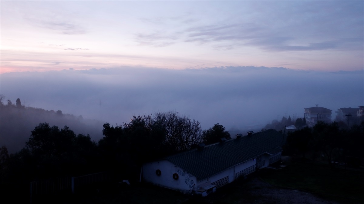 Bolu, Kocaeli ve Düzce\'de Sis Etkisi