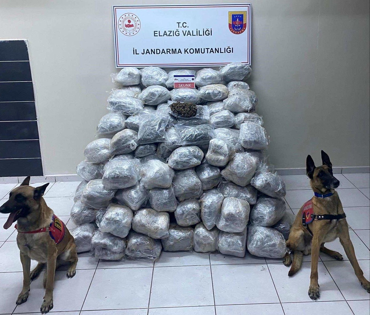 Elazığ\'da 138 kilo skunk ele geçirildi, şüpheli tutuklandı