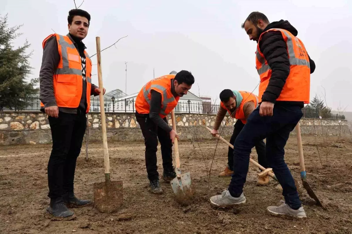 Elazığ\'da şehitler adına hatıra ormanı oluşturuldu, 100 fidan toprakla buluşturuldu