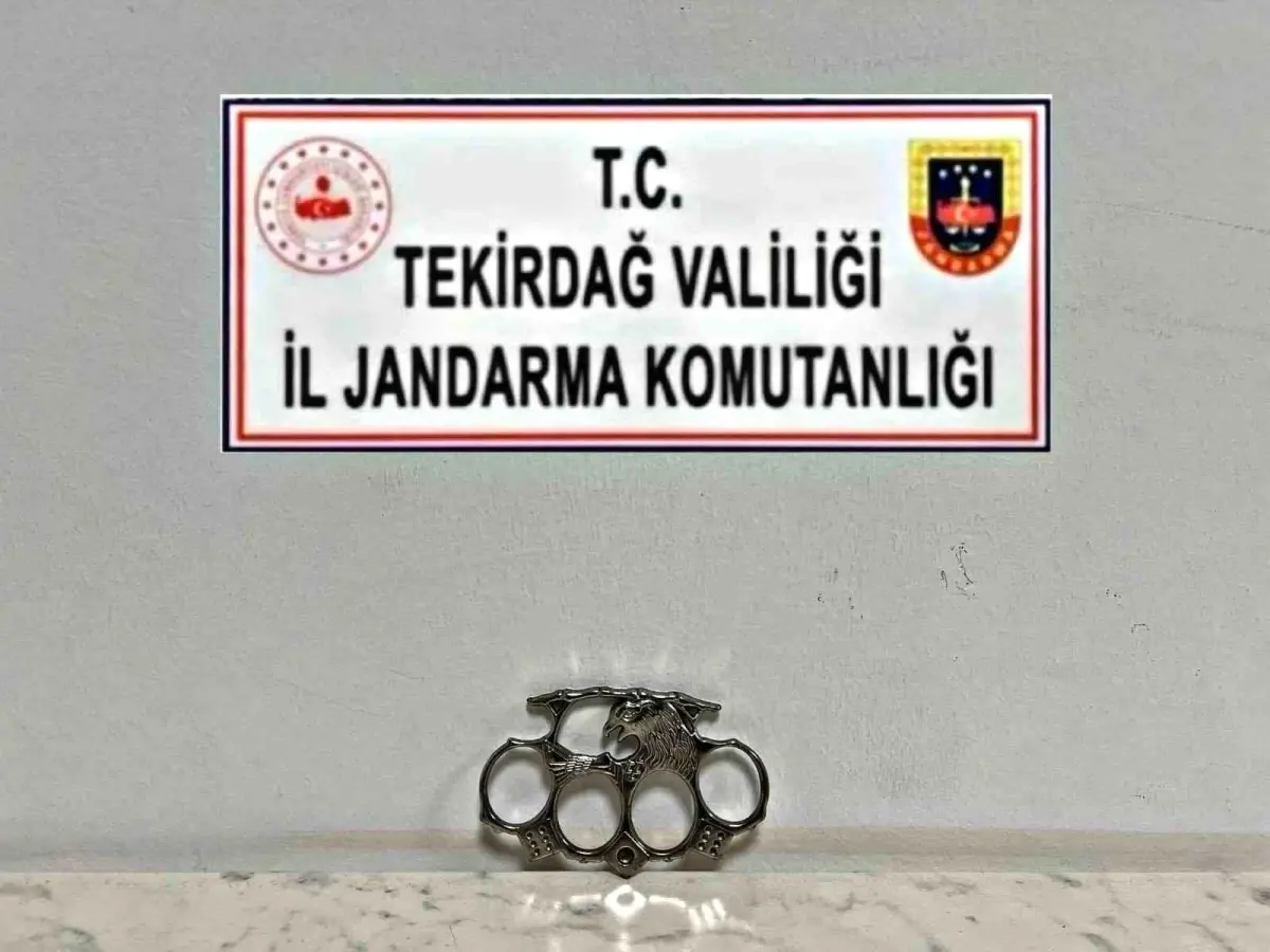 Tekirdağ\'da Jandarma Operasyonunda Silah ve Kaçak İçki Ele Geçirildi