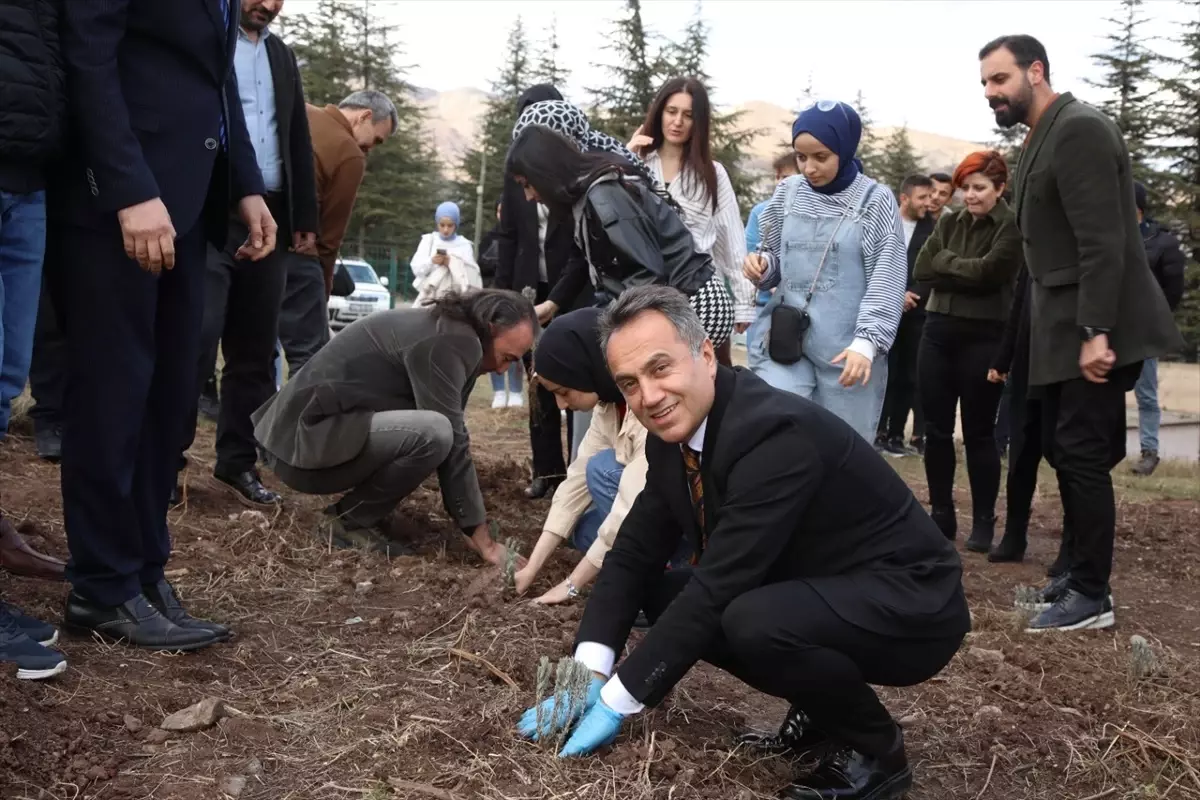 TOGÜ Rektörü Almus ilçesini ziyaret etti