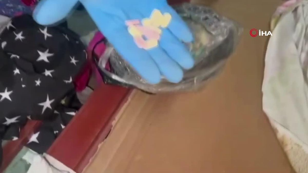 Yenipazar'da uyuşturucu operasyonu: Çok sayıda uyuşturucu madde ele geçirildi