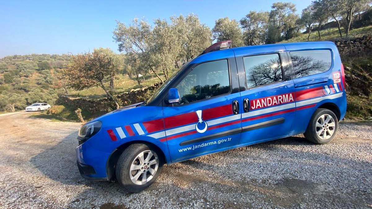 Aydın\'da Zeytinyağı Hırsızı Yakalandı