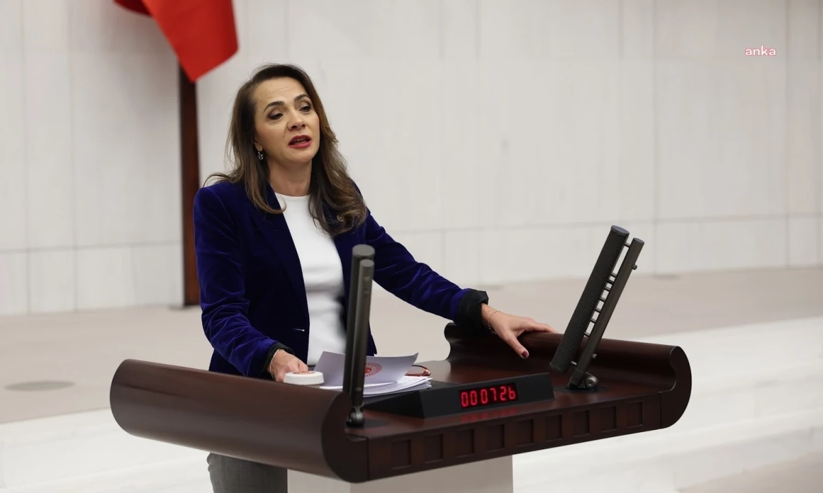 CHP Milletvekili Gamze Akkuş İlgezdi: Meclis Kütüphanesi\'nin tarihi dokusu bozuldu