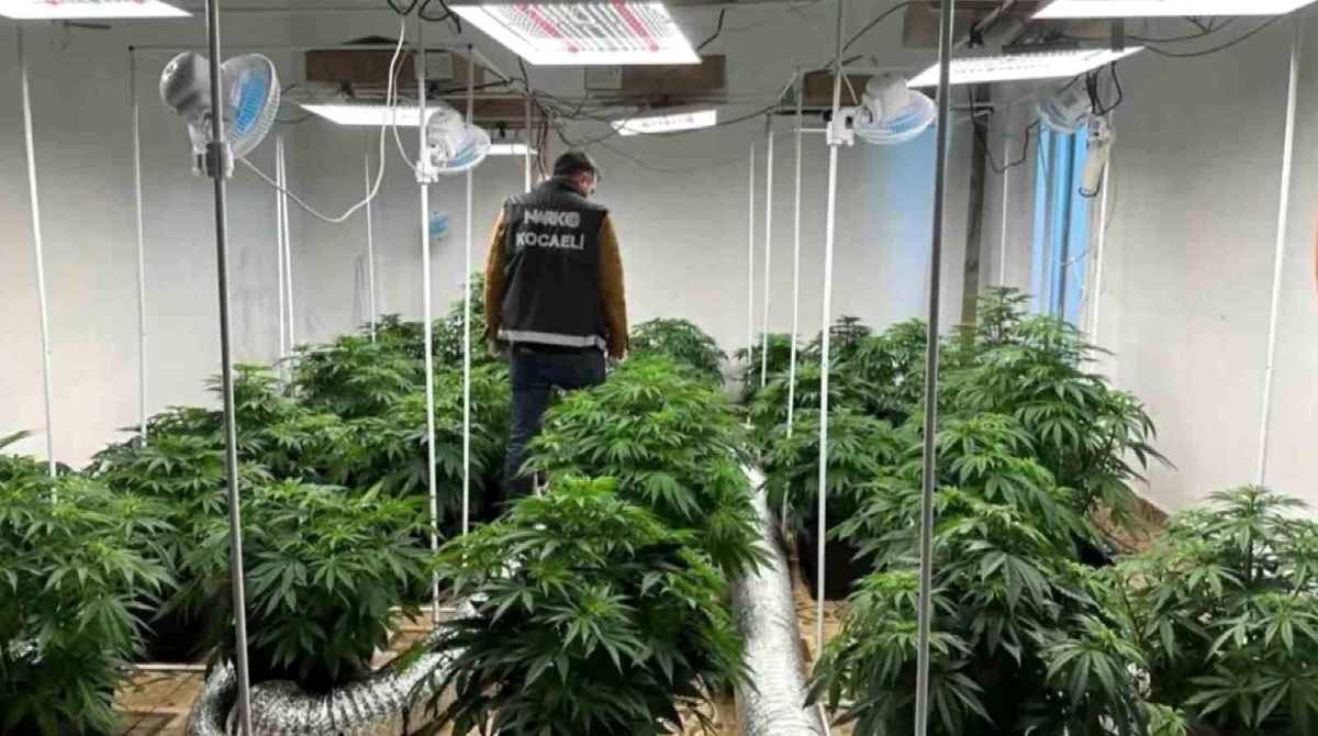 Kocaeli\'de 7 Bin 683 Şüpheli Uyuşturucu Operasyonunda Gözaltına Alındı
