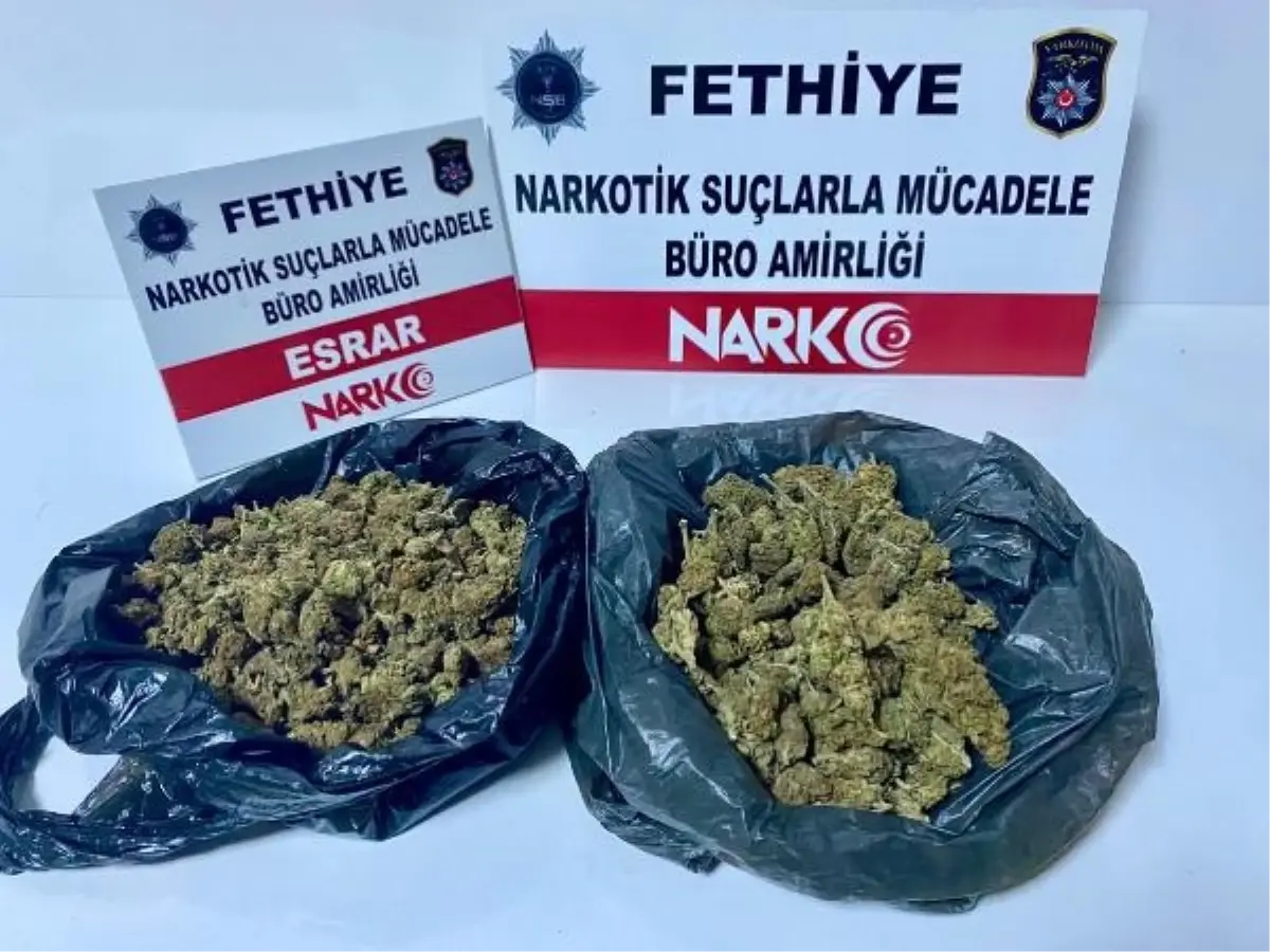 Muğla'da yapılan operasyonda 11 şüpheli gözaltına alındı