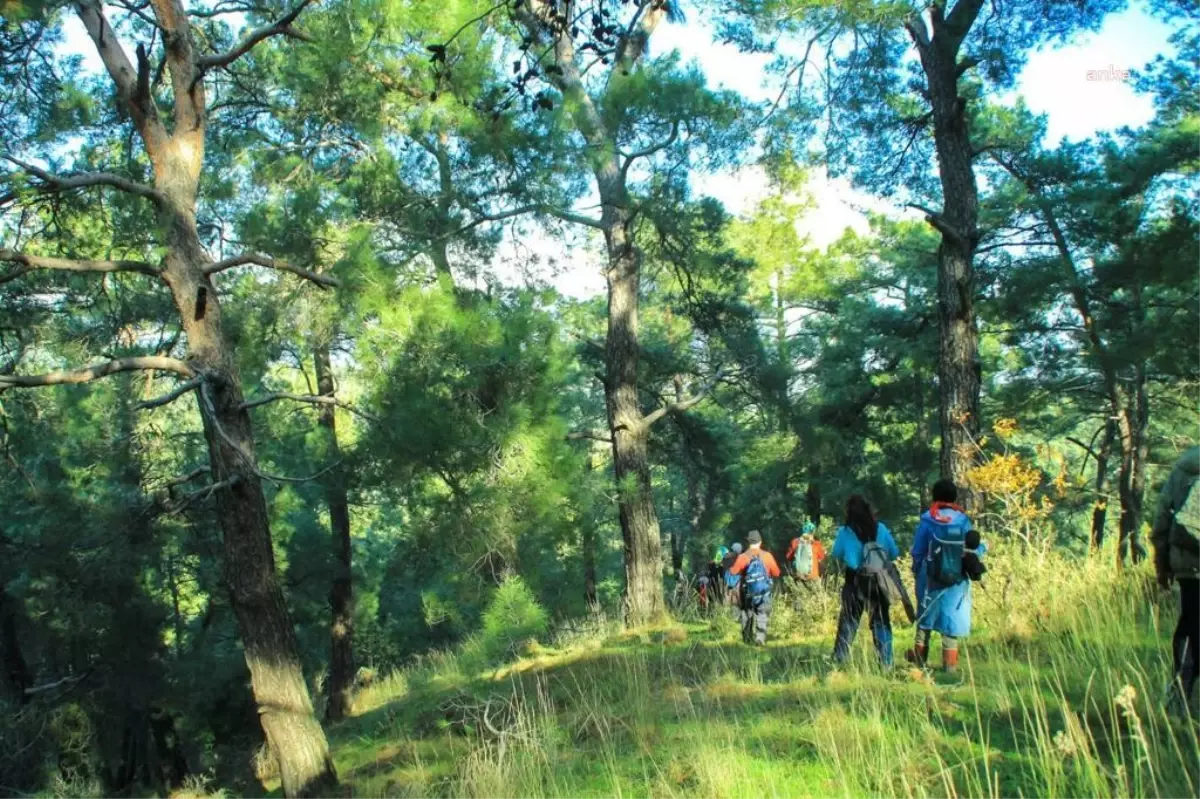 TURBELDAK, Vişneli-Nazarköy parkurunda yürüyüş etkinliği düzenledi