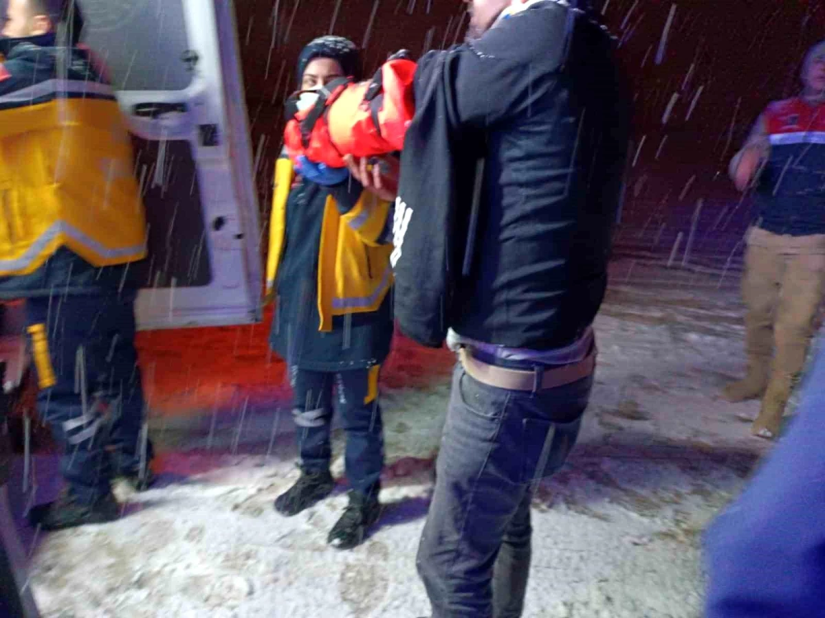 Van\'ın Özalp ilçesinde kar yağışı nedeniyle meydana gelen kazada 4 kişi yaralandı