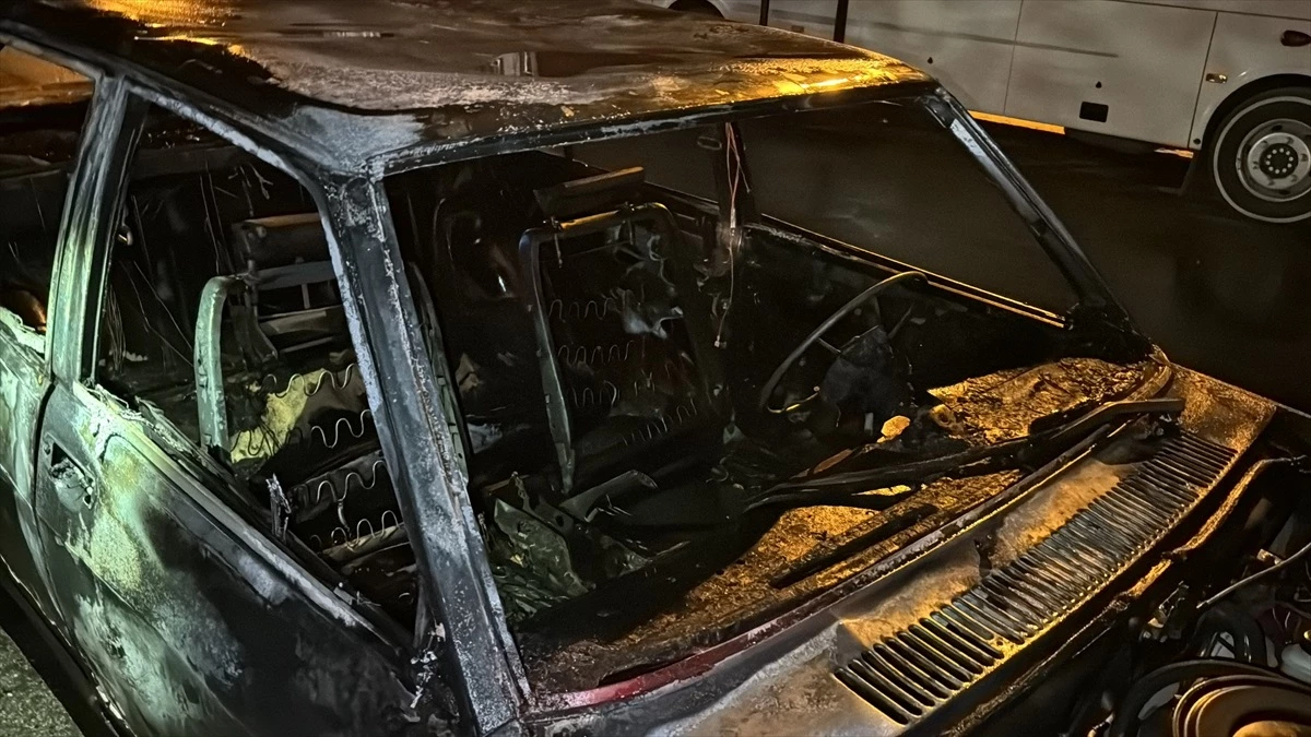 Elazığ\'da park halindeki otomobilde çıkan yangında 1 kişi yaralandı