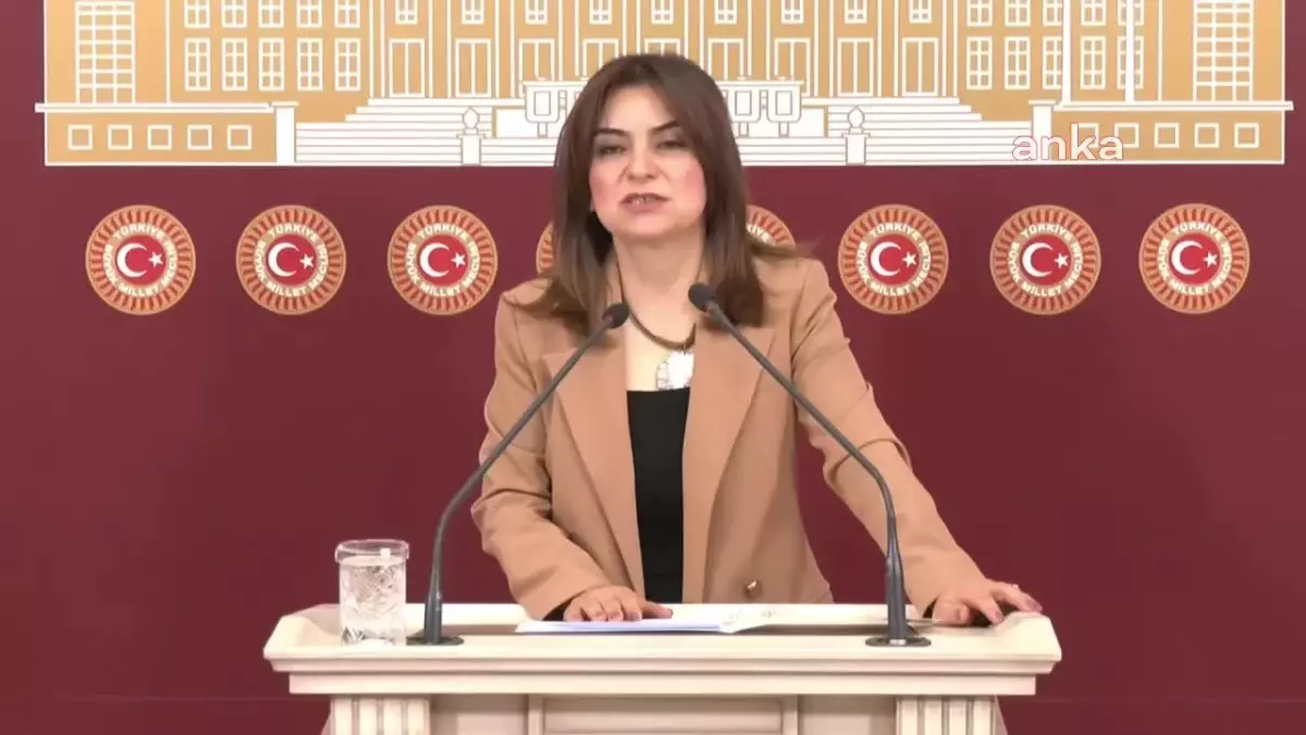 Gülistan Kılıç Koçyiğit: "Gelin Bu Darbeye Hep Beraber Direnelim"