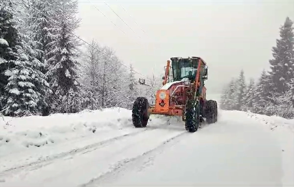 Trabzon\'un yüksek kesimlerinde kar yağışı