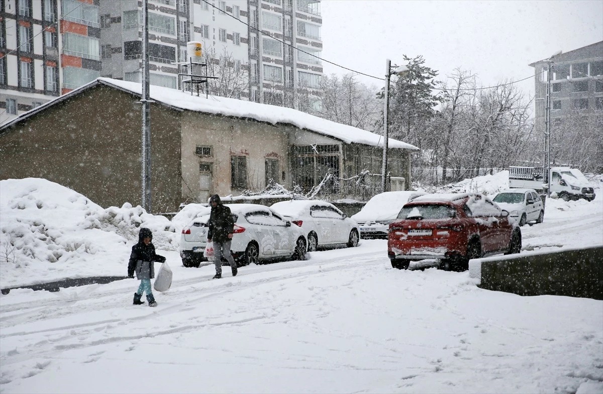Van, Muş ve Bitlis\'te yoğun kar nedeniyle 357 yerleşim yerinin yolu kapandı