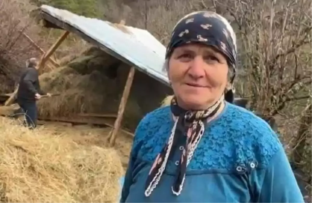 Artvin'de Heyelanda Ahır Çöktü, 2 İnek Öldü