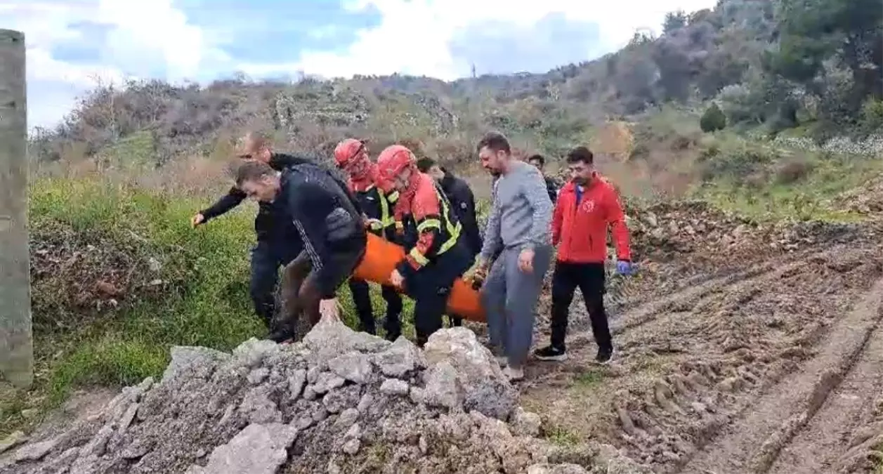 Aydın\'da Ağaçtan Düşen Vatandaş Kurtarıldı