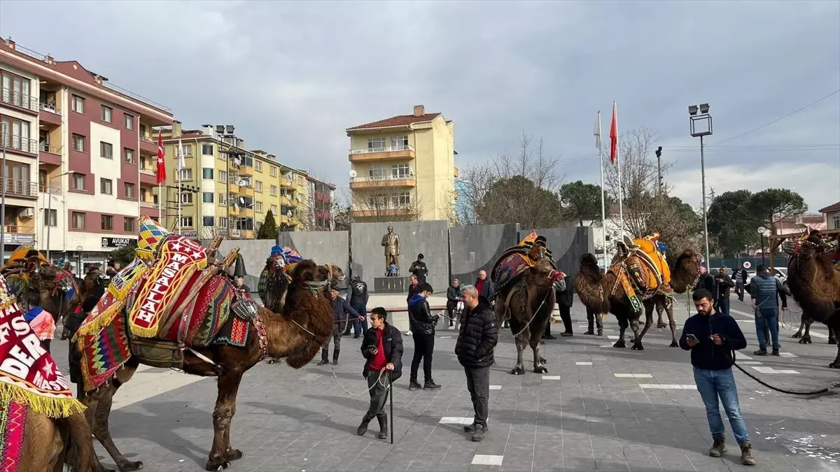 Çanakkale\'de Deve Güreşi Öncesi Kortej Yürüyüşü Düzenlendi