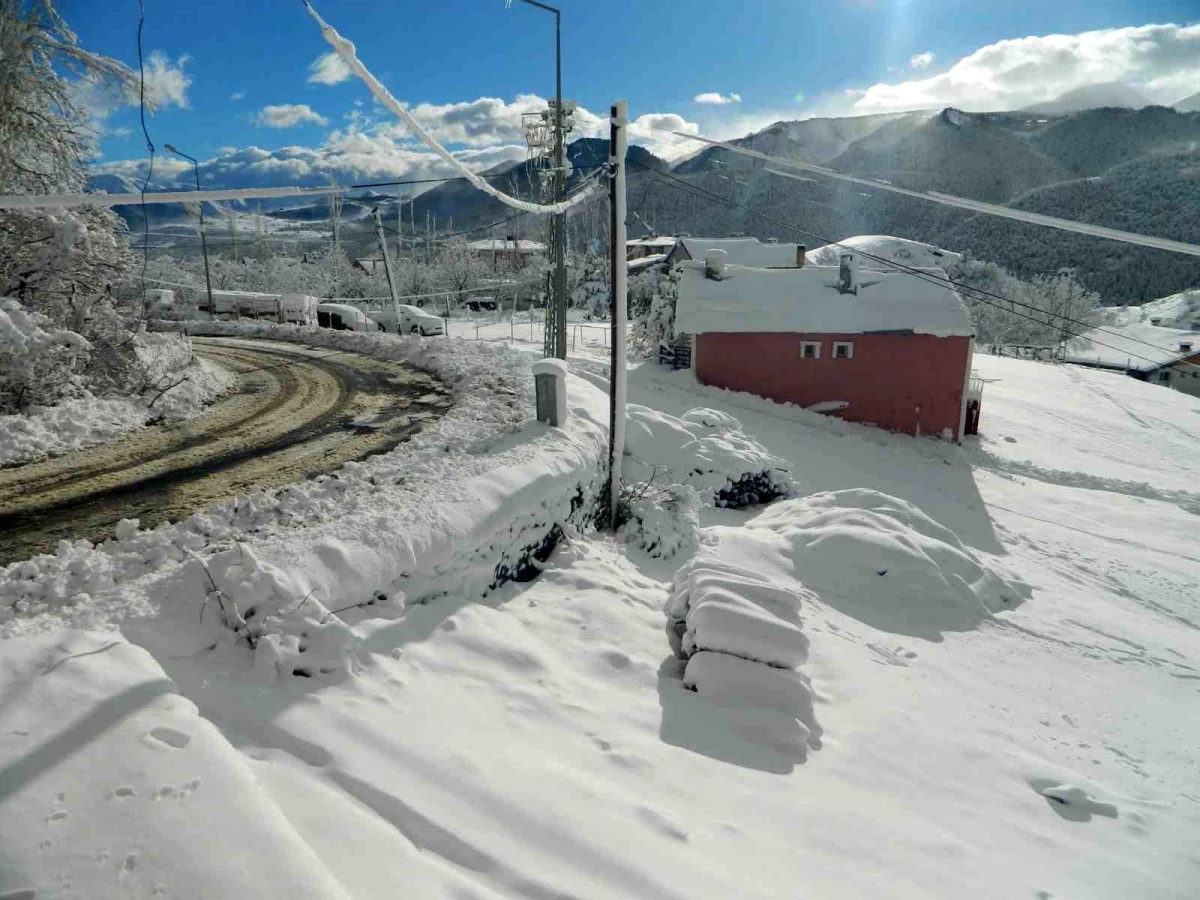 Ardahan\'ın Posof ilçesinde yoğun kar yağışı